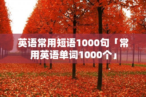 英语常用短语1000句「常用英语单词1000个」