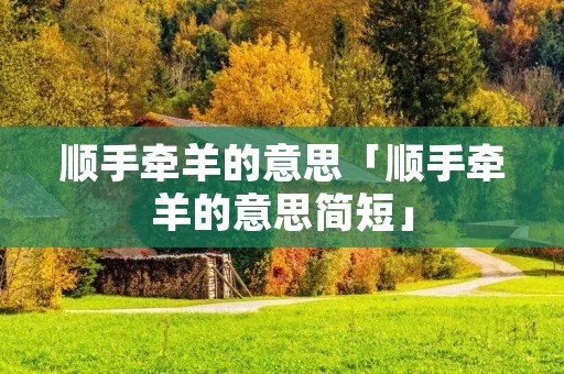 顺手牵羊的意思「顺手牵羊的意思简短」