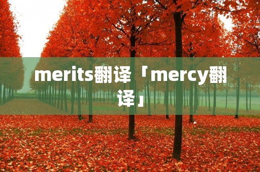 merits翻译「mercy翻译」