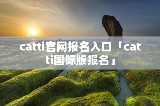 catti官网报名入口「catti国际版报名」