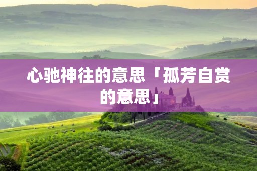 心驰神往的意思「孤芳自赏的意思」