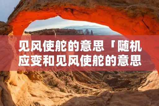 见风使舵的意思「随机应变和见风使舵的意思」