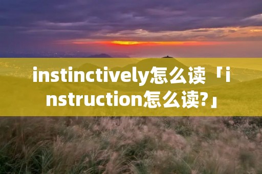 instinctively怎么读「instruction怎么读?」 instinctively怎么读「instruction怎么读?」