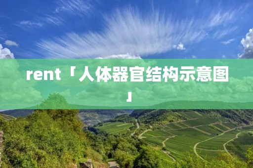 rent「人体器官结构示意图」