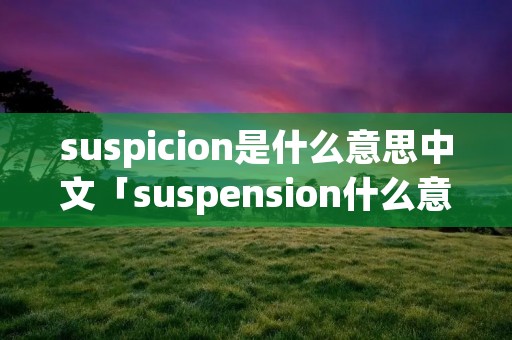 suspicion是什么意思中文「suspension什么意思中文翻译」