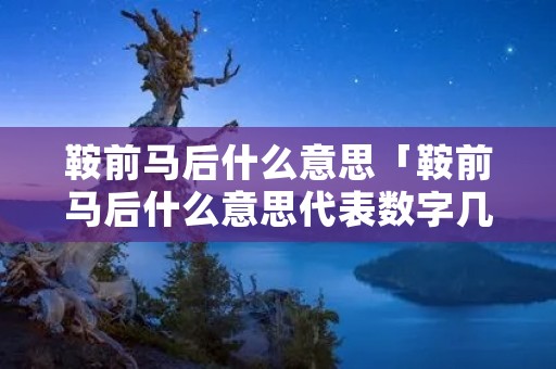 鞍前马后什么意思「鞍前马后什么意思代表数字几」 鞍前马后什么意思「鞍前马后什么意思代表数字几」