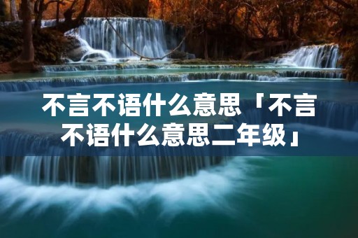 不言不语什么意思「不言不语什么意思二年级」 不言不语什么意思「不言不语什么意思二年级」