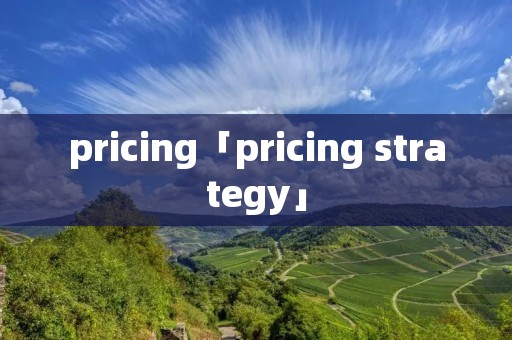 pricing「pricing strategy」