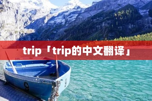 trip「trip的中文翻译」