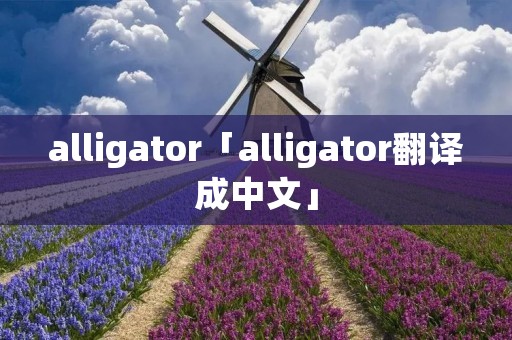 alligator「alligator翻译成中文」