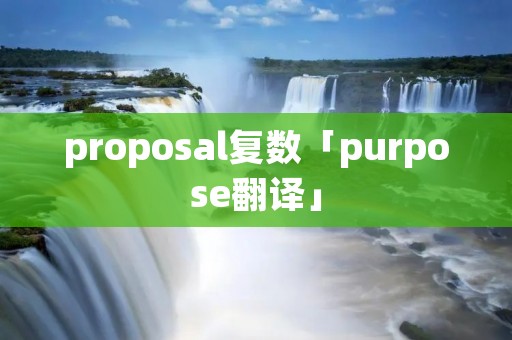 proposal复数「purpose翻译」