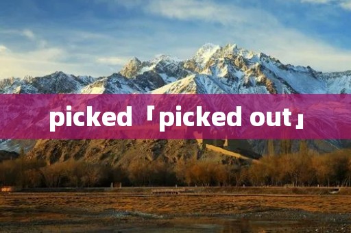 picked「picked out」 picked「picked out」