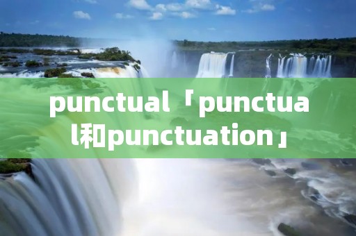 punctual「punctual和punctuation」