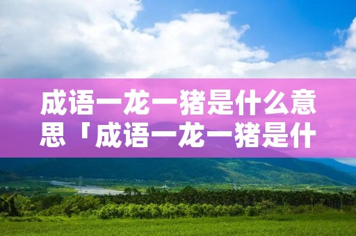 成语一龙一猪是什么意思「成语一龙一猪是什么意思呀」