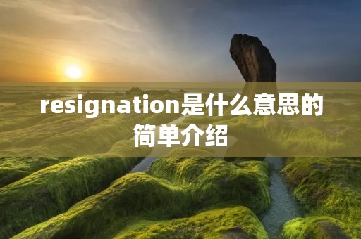 resignation是什么意思的简单介绍