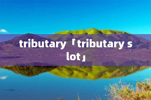 tributary「tributary slot」