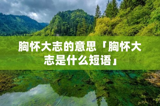胸怀大志的意思「胸怀大志是什么短语」