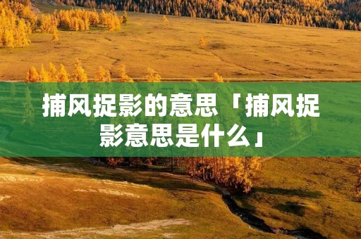 捕风捉影的意思「捕风捉影意思是什么」