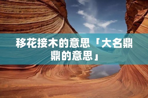 移花接木的意思「大名鼎鼎的意思」