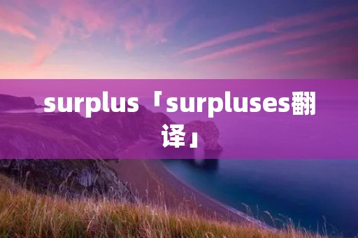 surplus「surpluses翻译」 surplus「surpluses翻译」