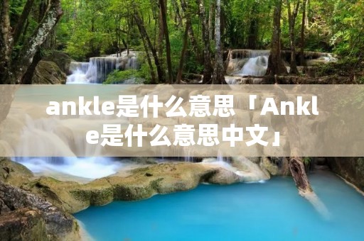 ankle是什么意思「Ankle是什么意思中文」
