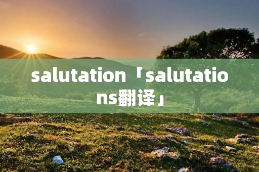 salutation「salutations翻译」