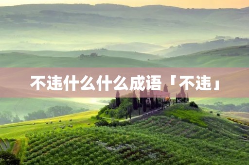 不违什么什么成语「不违」