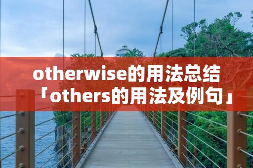 otherwise的用法总结「others的用法及例句」
