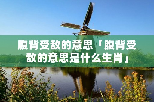 腹背受敌的意思「腹背受敌的意思是什么生肖」