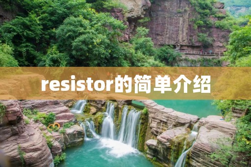 resistor的简单介绍