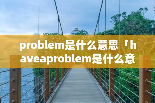 problem是什么意思「haveaproblem是什么意思」