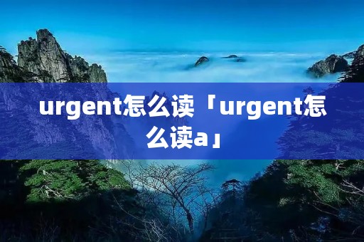 urgent怎么读「urgent怎么读a」