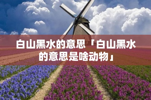 白山黑水的意思「白山黑水的意思是啥动物」
