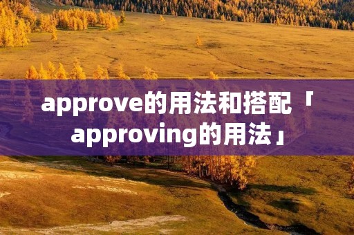 approve的用法和搭配「approving的用法」