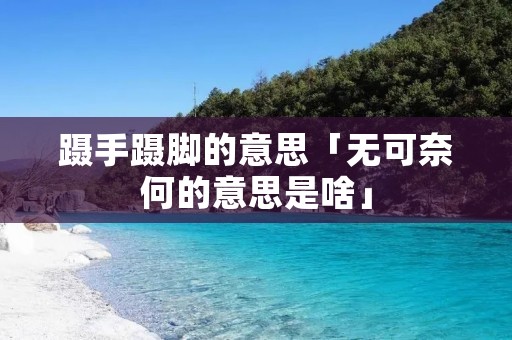 蹑手蹑脚的意思「无可奈何的意思是啥」