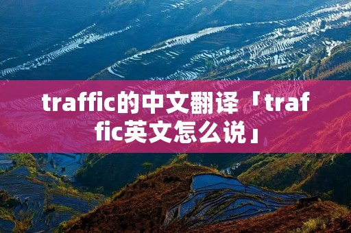 traffic的中文翻译「traffic英文怎么说」