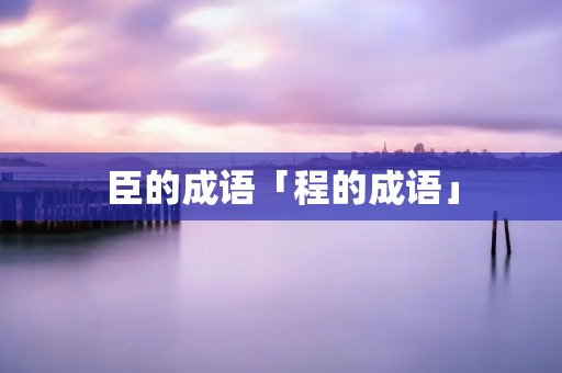 臣的成语「程的成语」