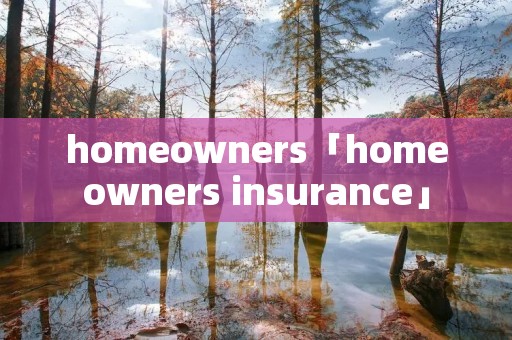 homeowners「homeowners insurance」