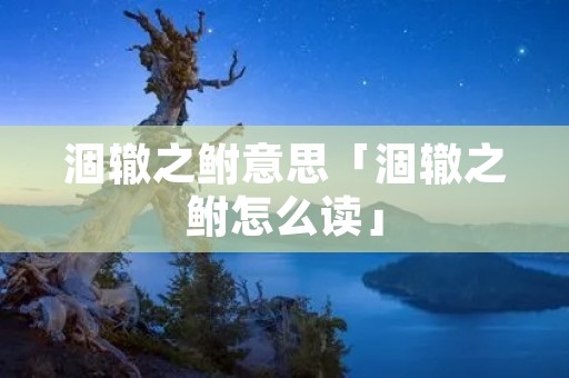 涸辙之鲋意思「涸辙之鲋怎么读」