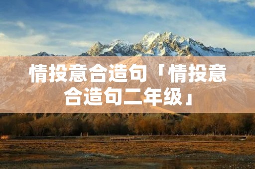 情投意合造句「情投意合造句二年级」