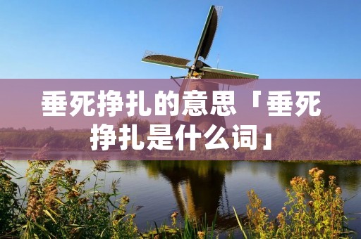 垂死挣扎的意思「垂死挣扎是什么词」