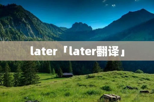 later「later翻译」