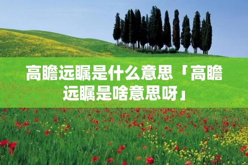 高瞻远瞩是什么意思「高瞻远瞩是啥意思呀」