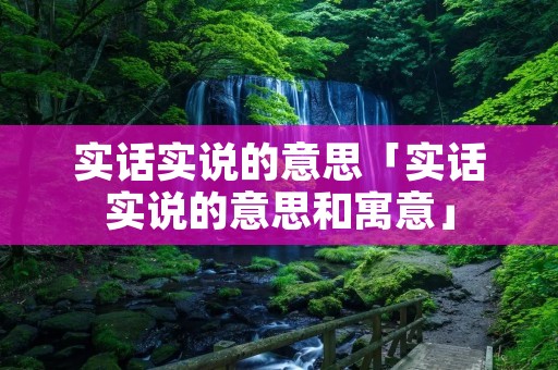 实话实说的意思「实话实说的意思和寓意」