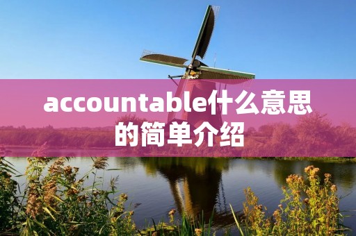 accountable什么意思的简单介绍