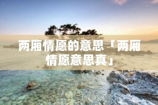 两厢情愿的意思「两厢情愿意思真」