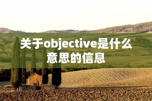 关于objective是什么意思的信息