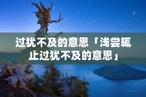 过犹不及的意思「浅尝辄止过犹不及的意思」
