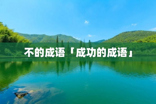 不的成语「成功的成语」