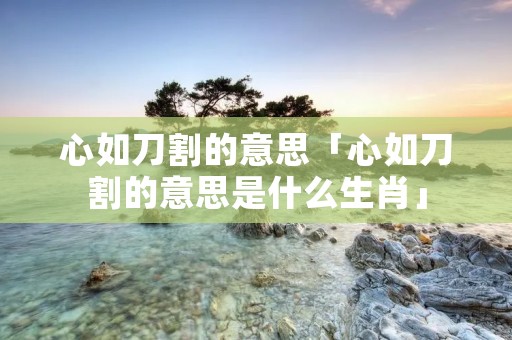 心如刀割的意思「心如刀割的意思是什么生肖」